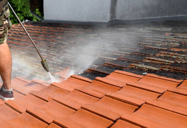 Best Pressure Washing Company Near Me  in Tupelo, MS