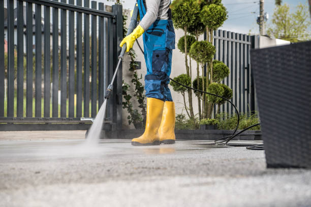 Best Local Pressure Washing Services  in Tupelo, MS